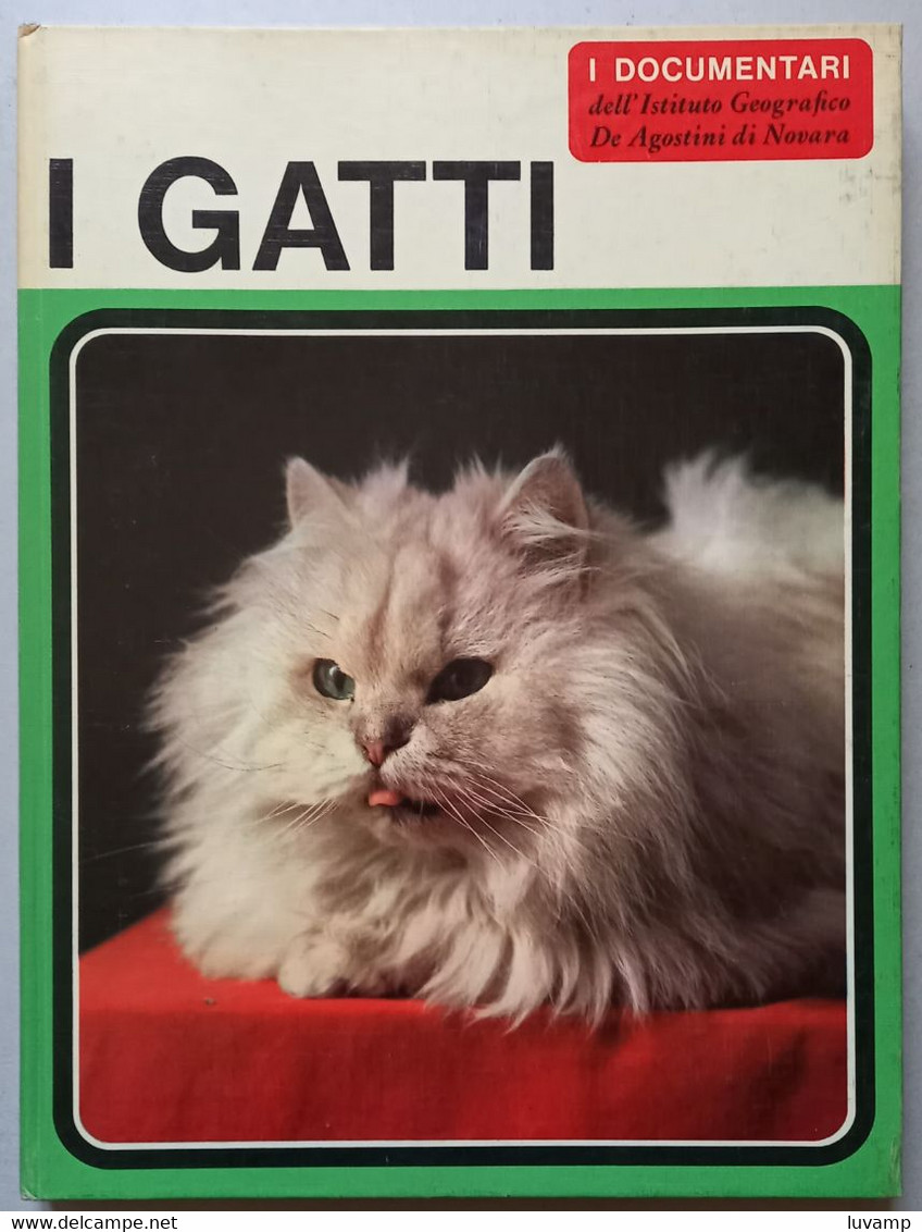 I DOCUMENTARI DE AGOSTINI-   I GATTI ( CART 72) - Caccia E Pesca