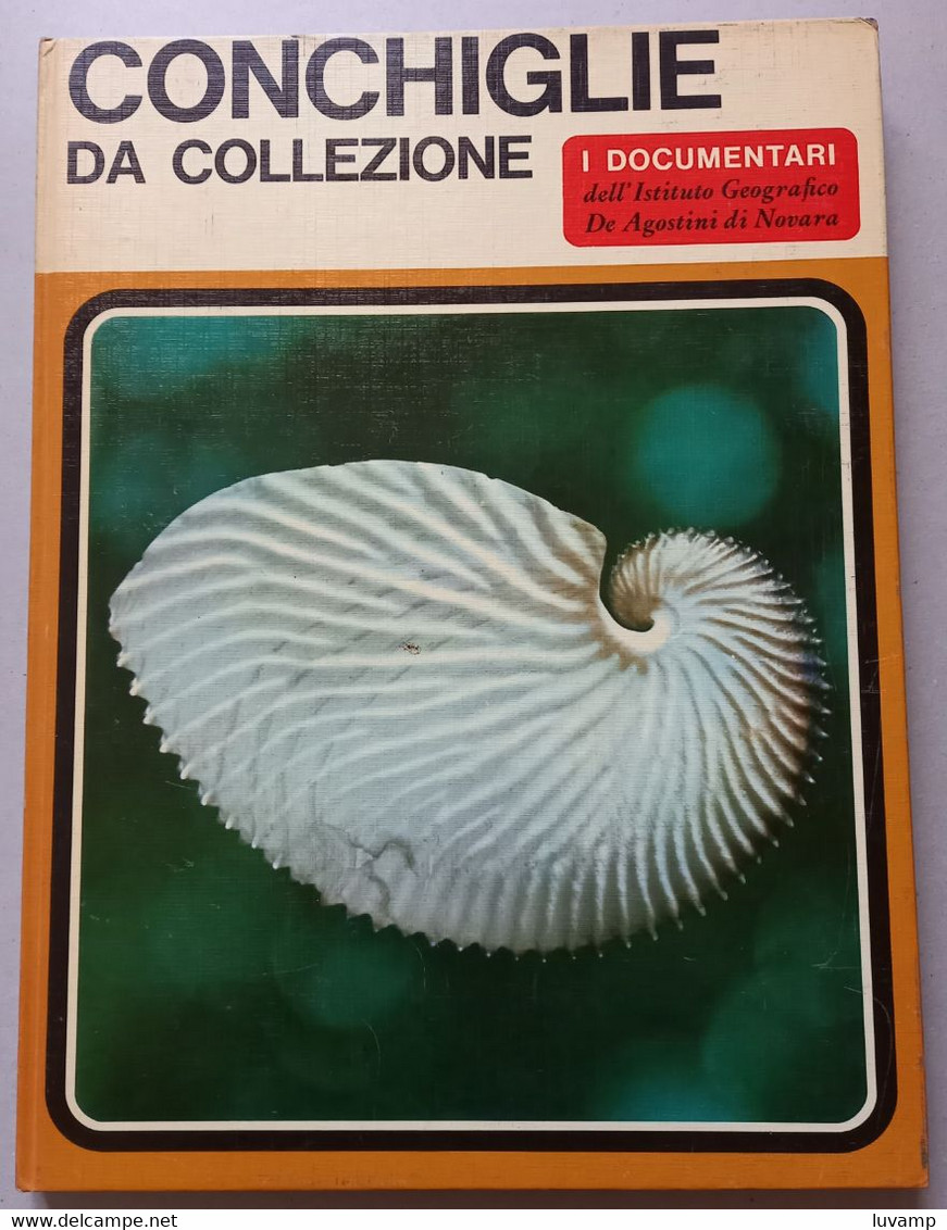 I DOCUMENTARI DE AGOSTINI-  CONCHIGLIE DA COLLEZIONE ( CART 72) - Caza Y Pesca