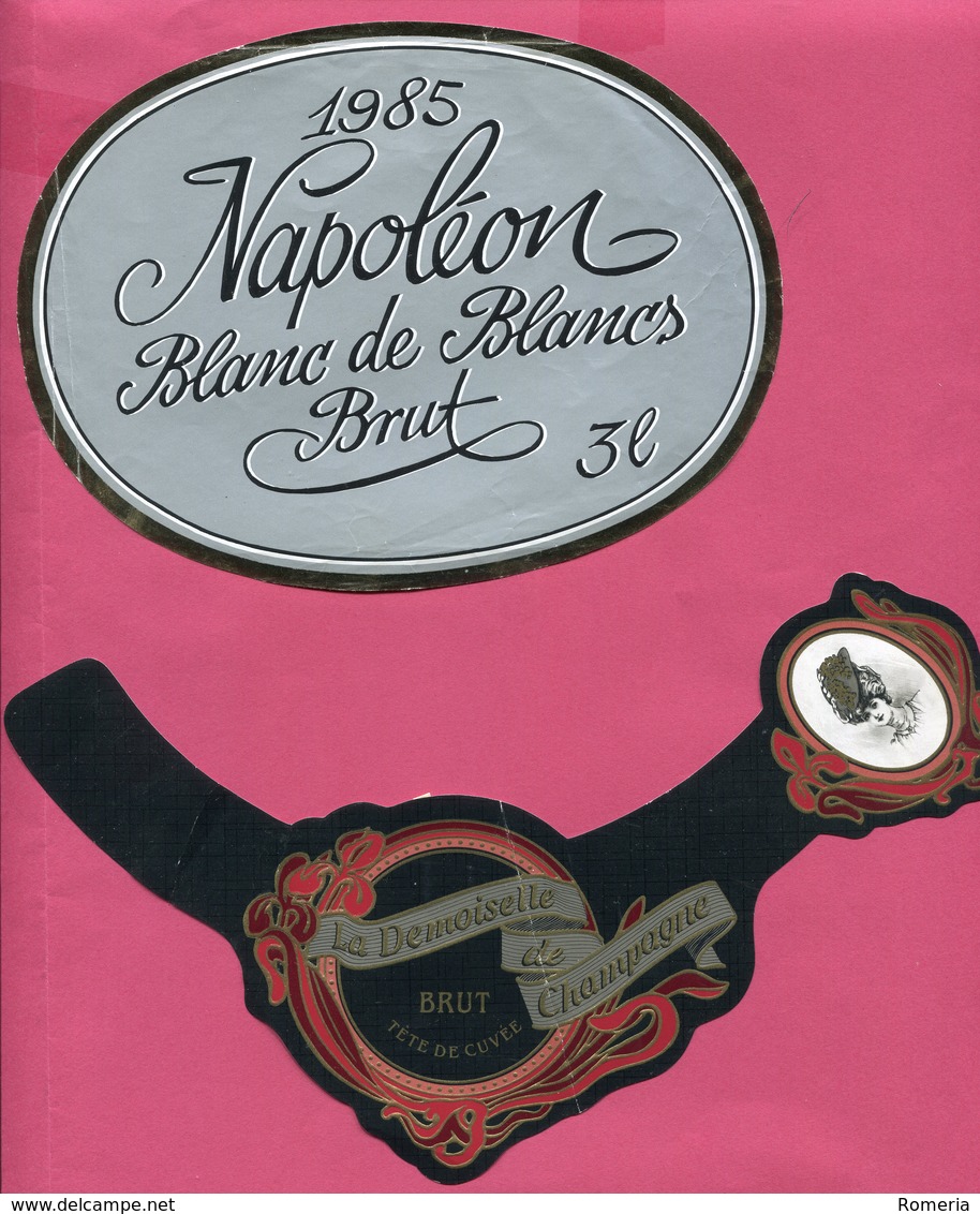 Italie - Superbe lot de 163 étiquettes de vins italiens - Toutes scannées - Parfait état.