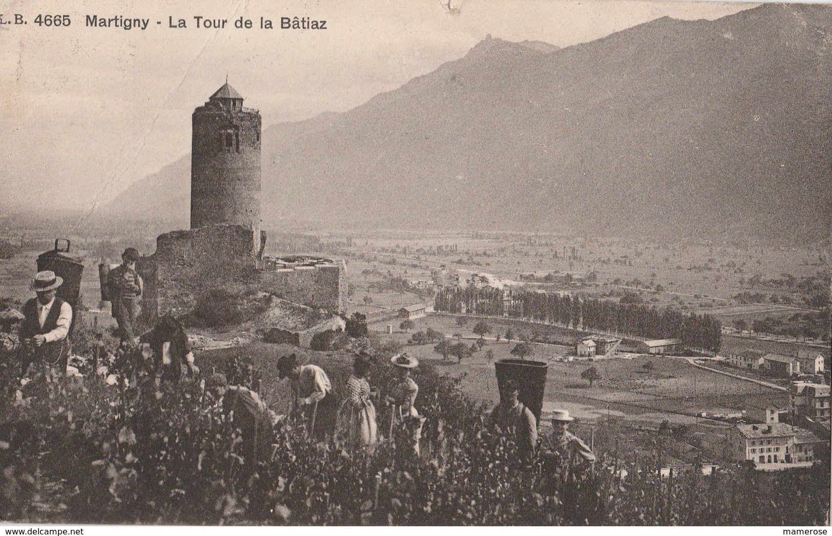 MARTIGNY (Suisse). La Tour De La Bâtiaz. Vendanges - Martigny