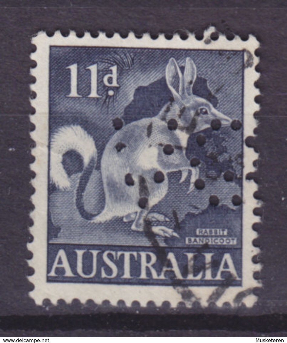 Australia Perfin Perforé Lochung 'VG' 1961, Mi. 310  11p. Ohrenbeuteldachs (2 Scans) - Perforés