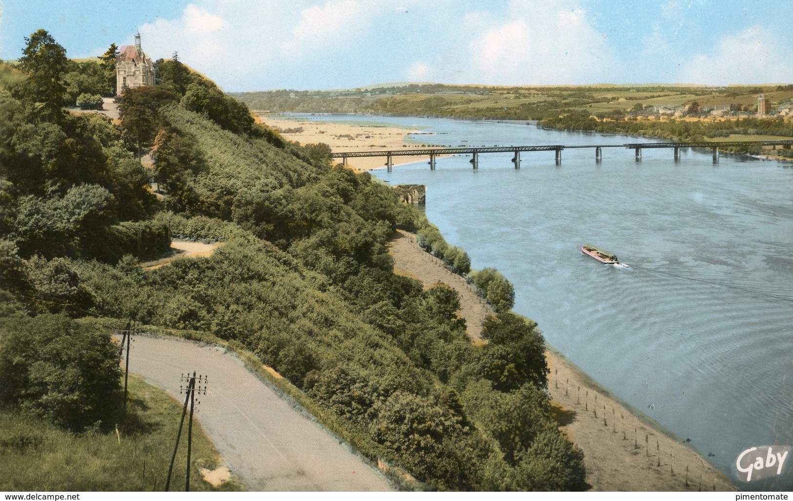 CHAMPTOCEAUX VUE SUR LA LOIRE AU FOND OUDON - Champtoceaux