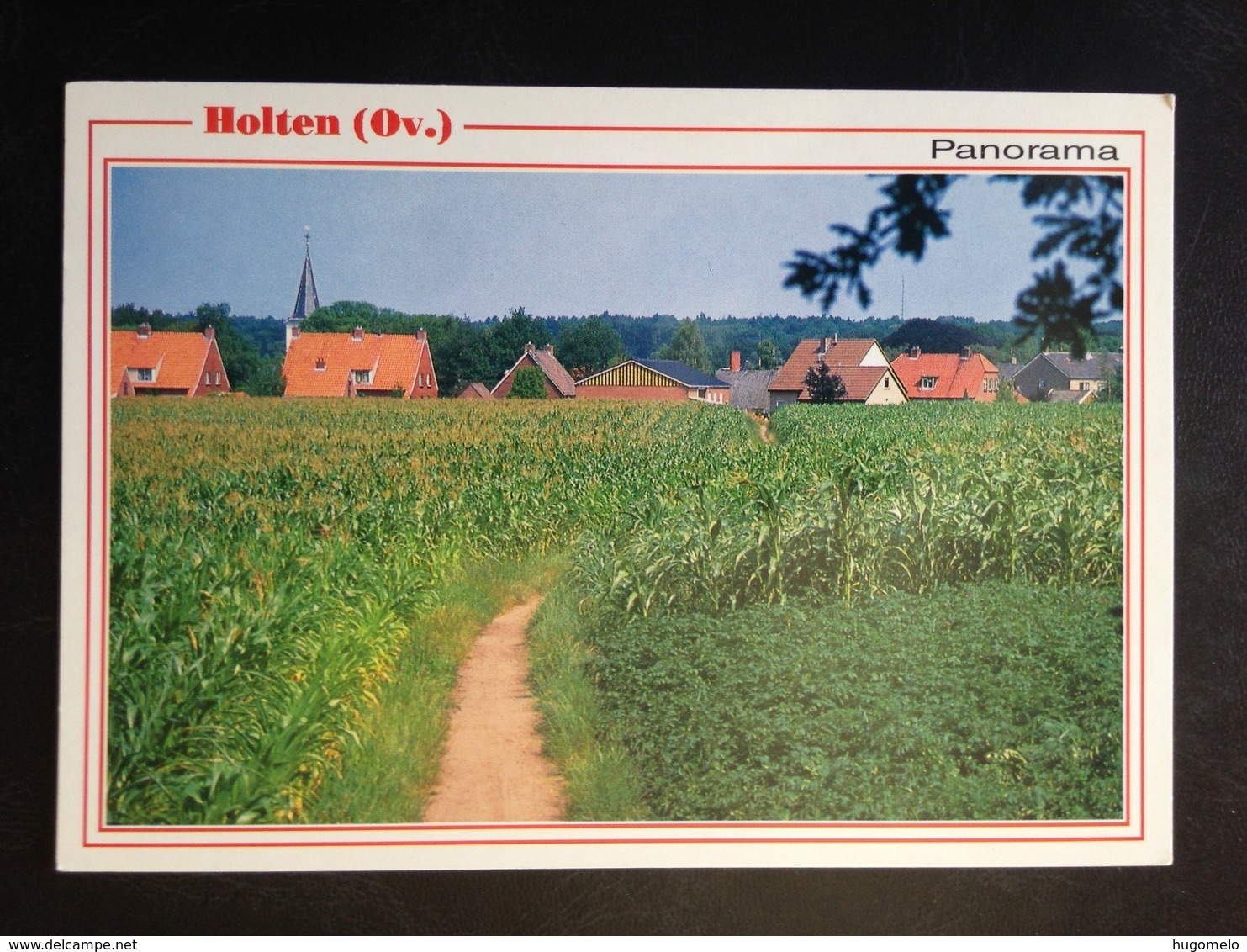 Netherlands, Uncirculated Postcard, « HOLTEN, Panorama » - Holten