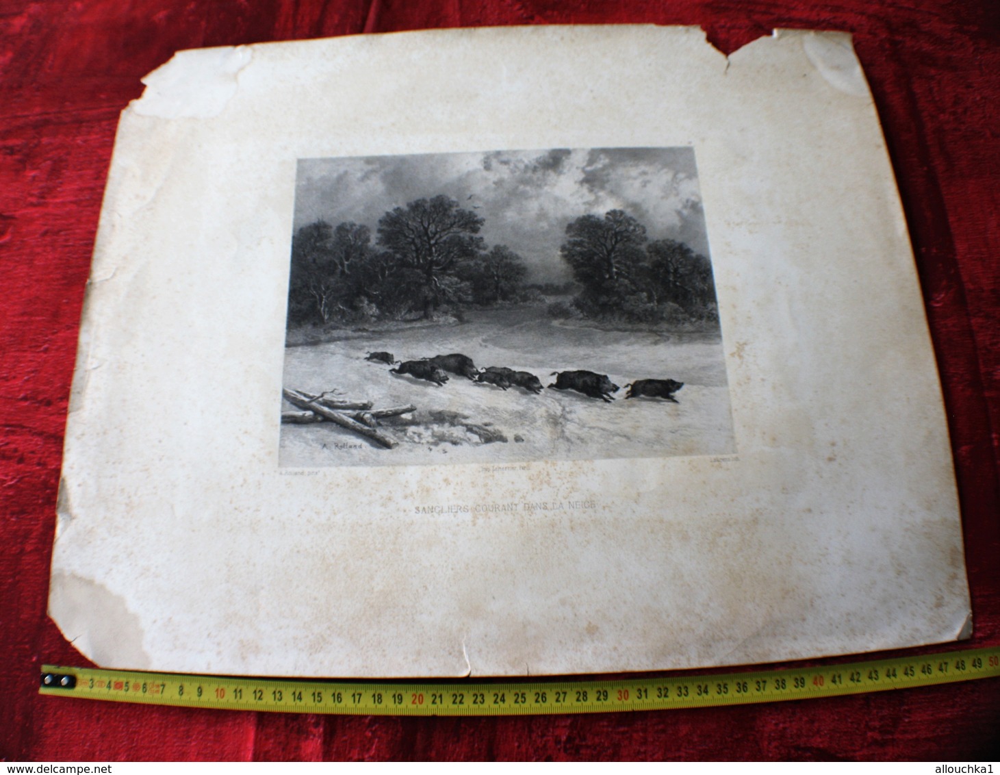 GRAVURE ESTAMPE SANGLIERS MARCASSINS COURANT DANS LA NEIGE SIGNE A ROLLAND-IMPRIMERIE LEMERCIER PARIS-LAURENS LITH - Prints & Engravings