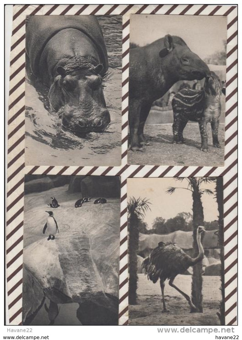 3AD1099 zoo PARC ZOOLOGIQUE DU BOIS DE VINCENNES lot de 16 cartes 8  SCANS