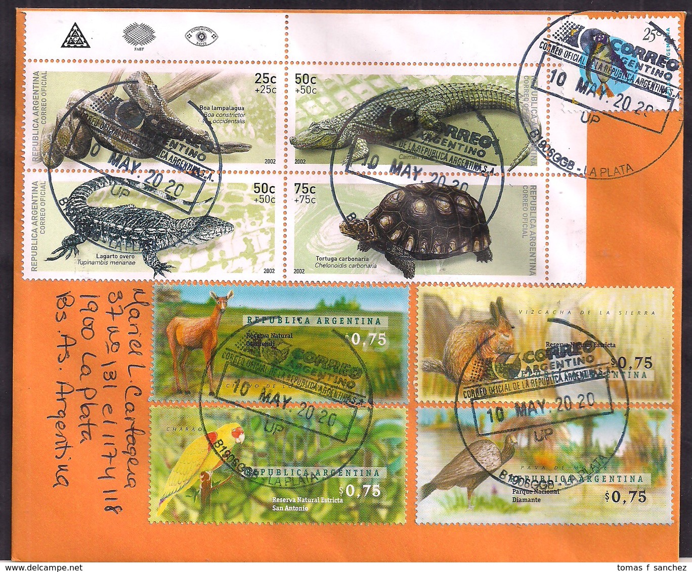 Argentina - 2020 - Lettre - Faune -  Reptiles (Yacare, Boa, Lagarto Y Tortuga) - Timbre Diverse - Lettres & Documents