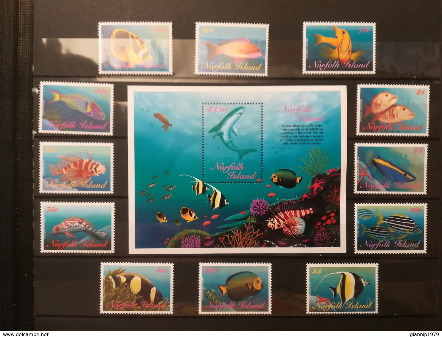 FRANCOBOLLI STAMPS ISOLA NORFOLK ISLAND 1998 MNH** NUOVI SERIE COMPLETA COMPLETE REEF FISH PESCI - Isola Norfolk