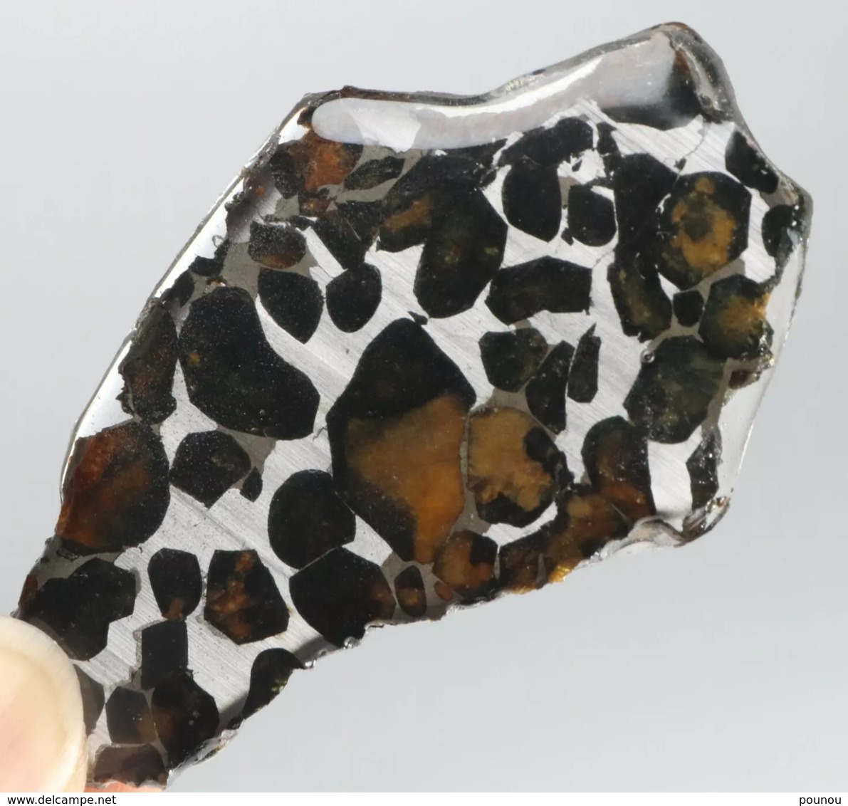 - MÉTÉORITE - PALLASITE - SERICHO - KENYA - 18.10 G - Meteorites