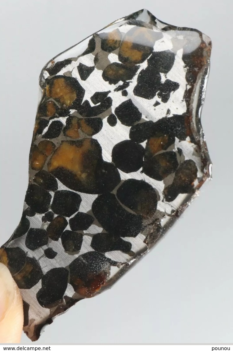 - MÉTÉORITE - PALLASITE - SERICHO - KENYA - 18.10 G - Meteorites