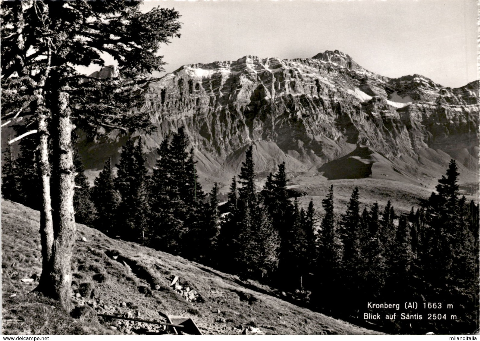 Kronberg (AI) - Blick Auf Säntis (013000) * 9. 8. 1967 - Kronberg