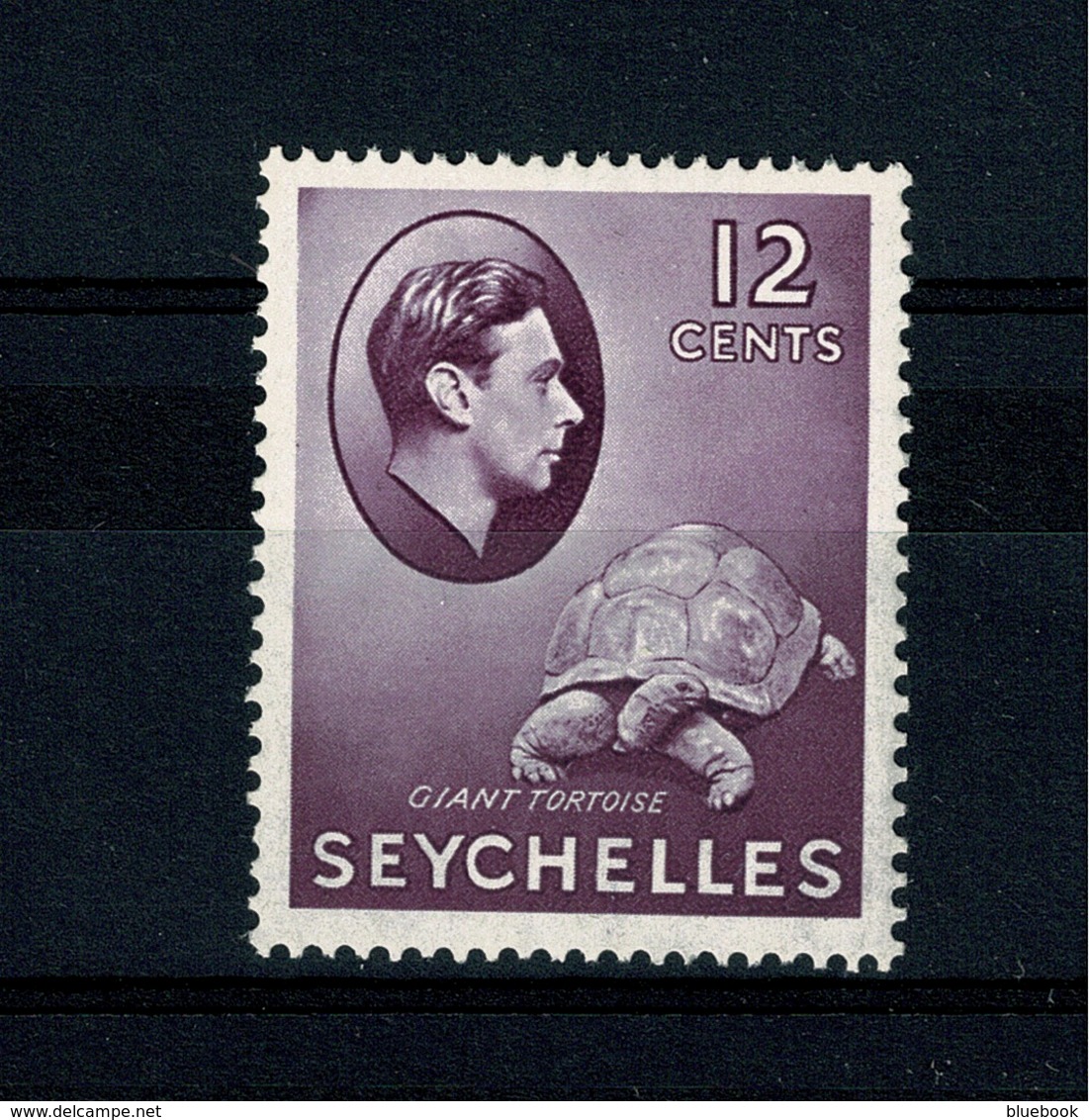 Ref 1355 - 1938 Seychelles KGVI Mint Stamp - 12c Turtle SG 139 - Cat £50+ - Seychellen (...-1976)
