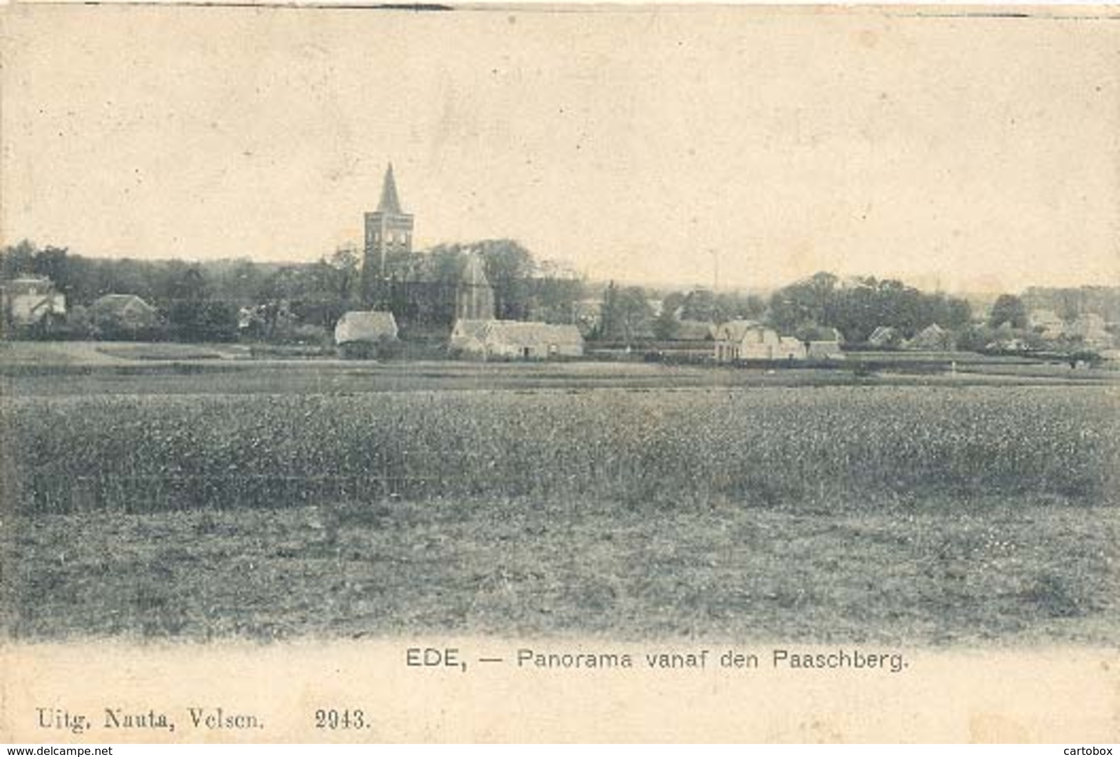 Ede, Panorama Vanaf De Paaschberg - Ede