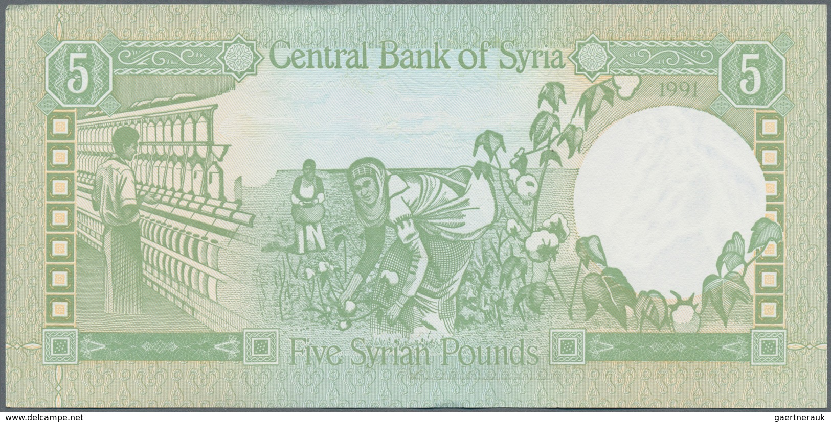 Syria / Syrien: Huge Lot With 592 Banknotes Containing 43x 1 Pound P.93e, 156x 5 Pounds P.100c,e, 10 - Siria