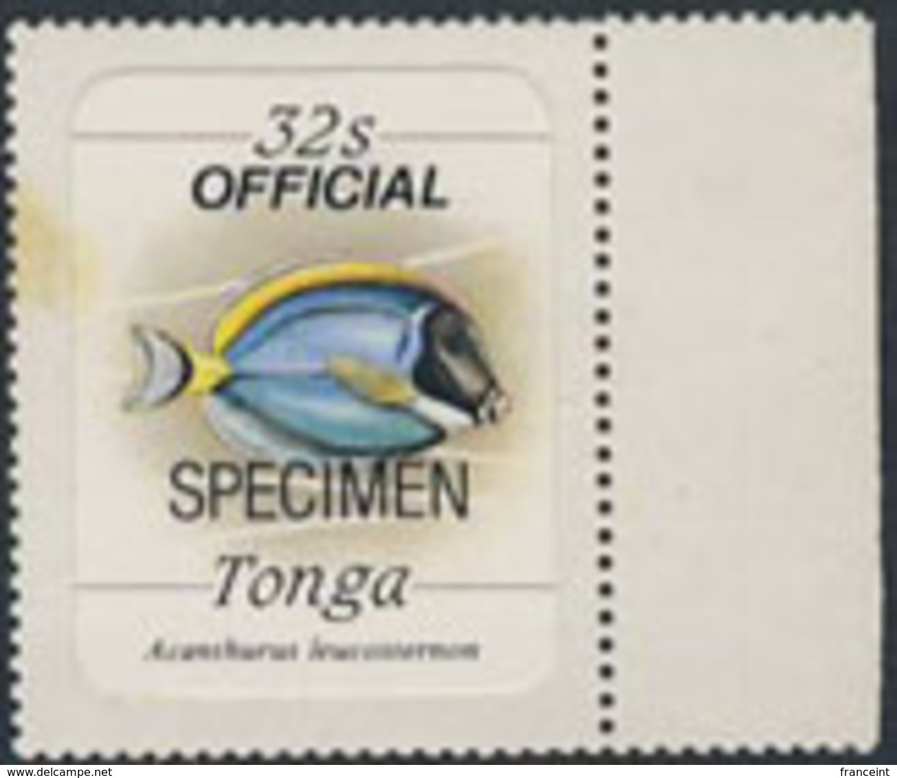 TONGA (1984) Acanthurus Leucosternon. Self-adhesive Stamp Overprinted SPECIMEN. Scott No O63, Yvert No SE64. - Tonga (1970-...)