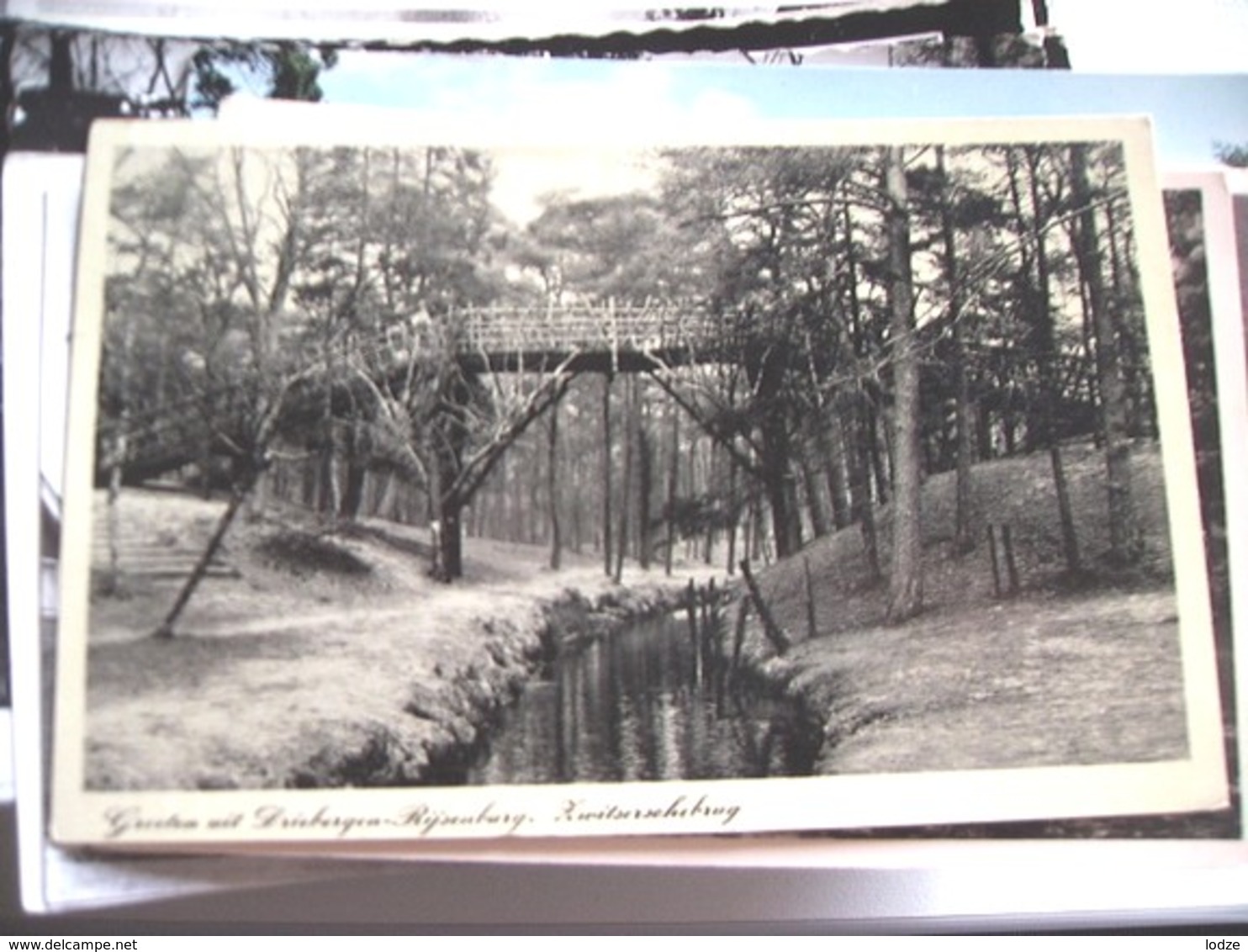 Nederland Holland Pays Bas Driebergen Rijsenburg Brug In Bos - Driebergen – Rijsenburg