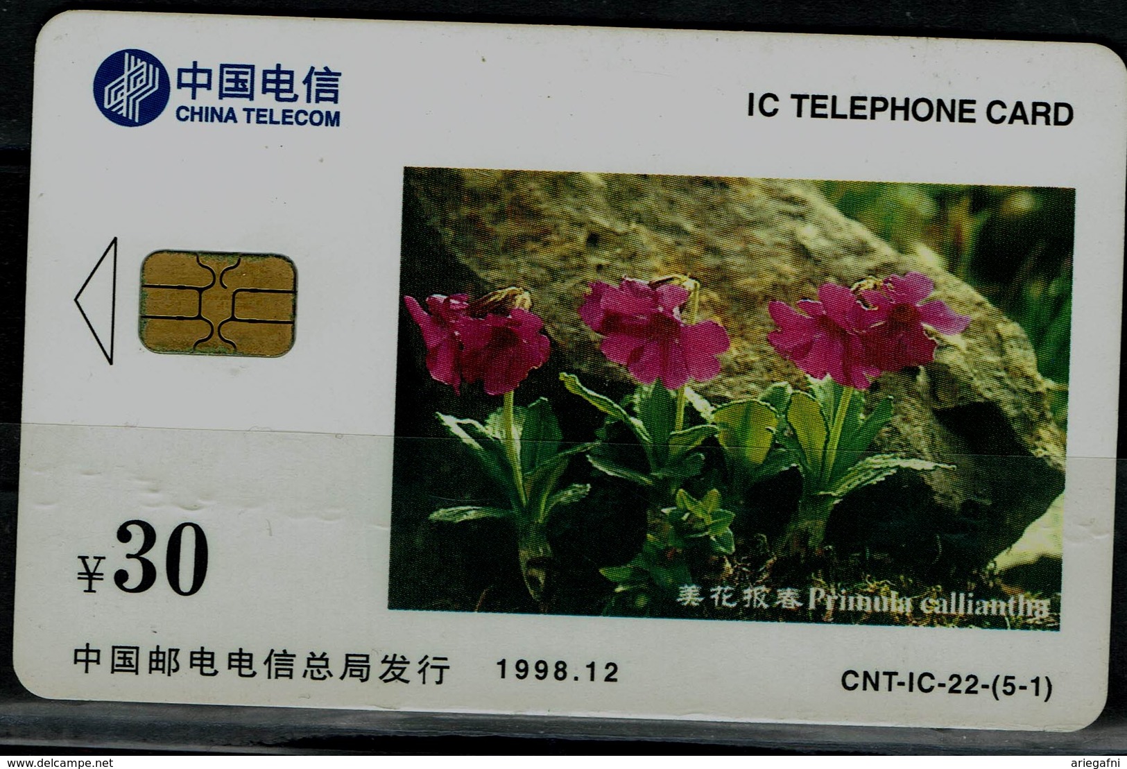 CHINA 1998 PHONECARD FLOWERS USED VF!! - Bloemen