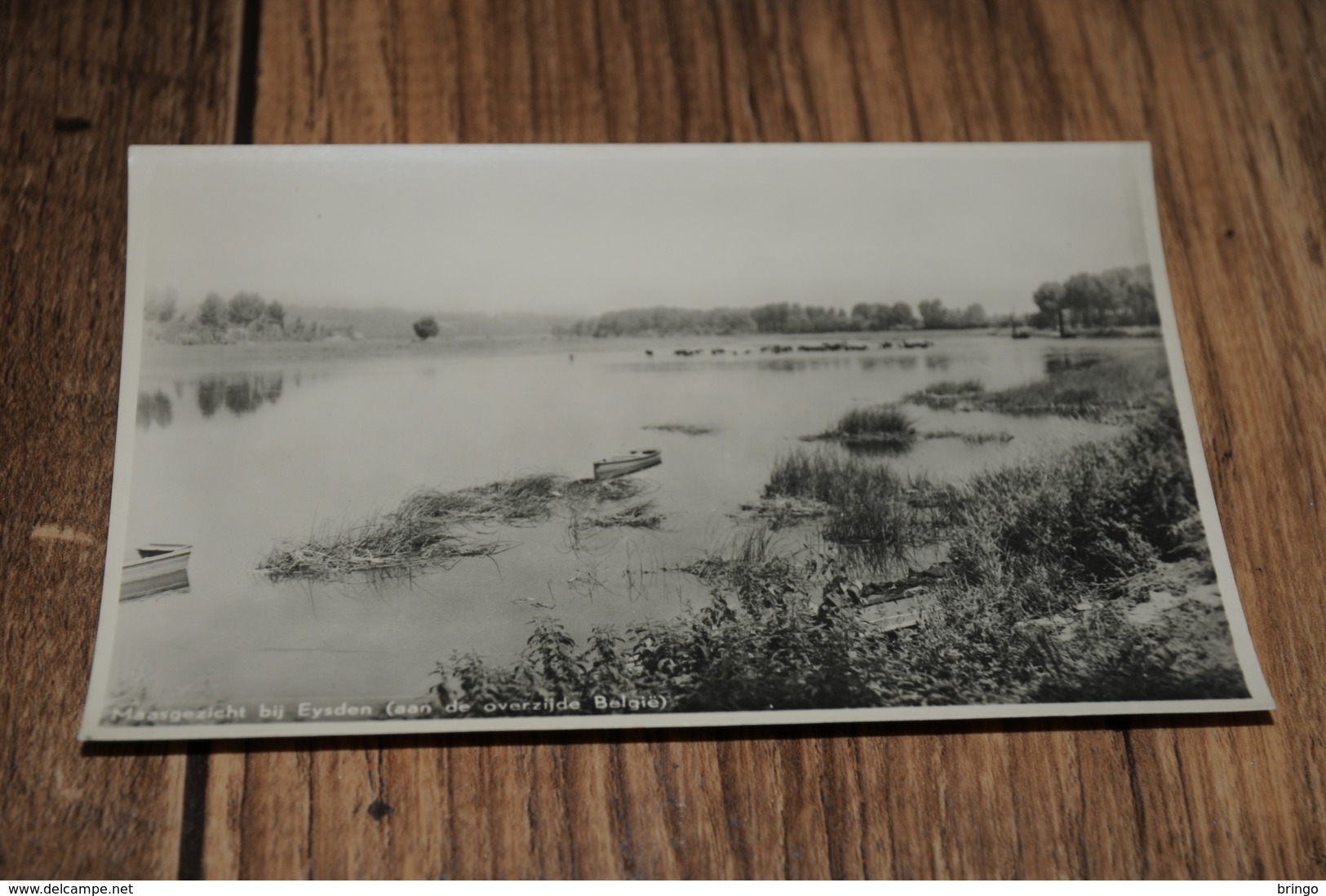 13075           FOTOKAART, MAASGEZICHT BIJ EYSDEN - Eijsden