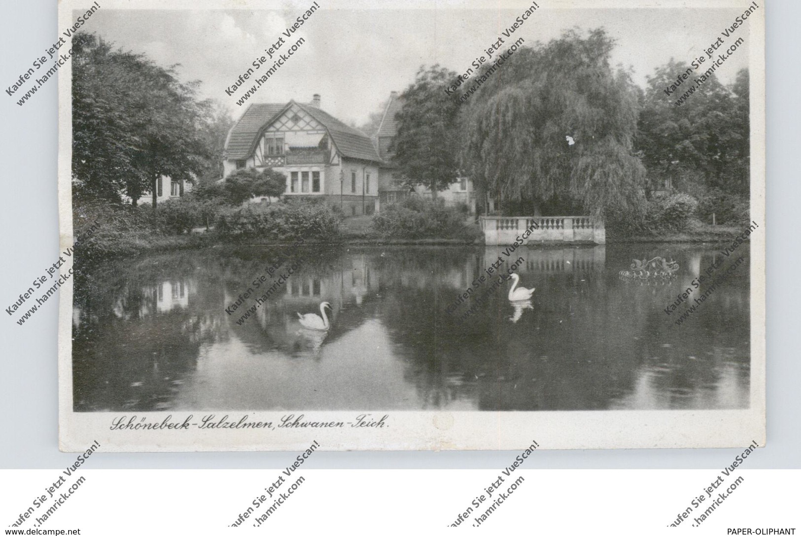 0-3300 SCHÖNEBECK - SALZELMEN, Schwanen Teich, 1949, Rücks. Kl. Randmängel - Schönebeck (Elbe)