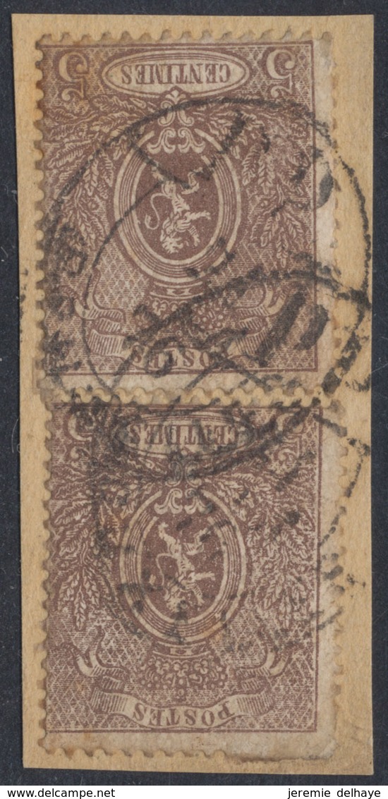 Petit Lion Dentelé - N°25 X2 Sur Fragment + Cachet Pour Imprimé "PP / Bruxelles" (1876) - 1866-1867 Blasón