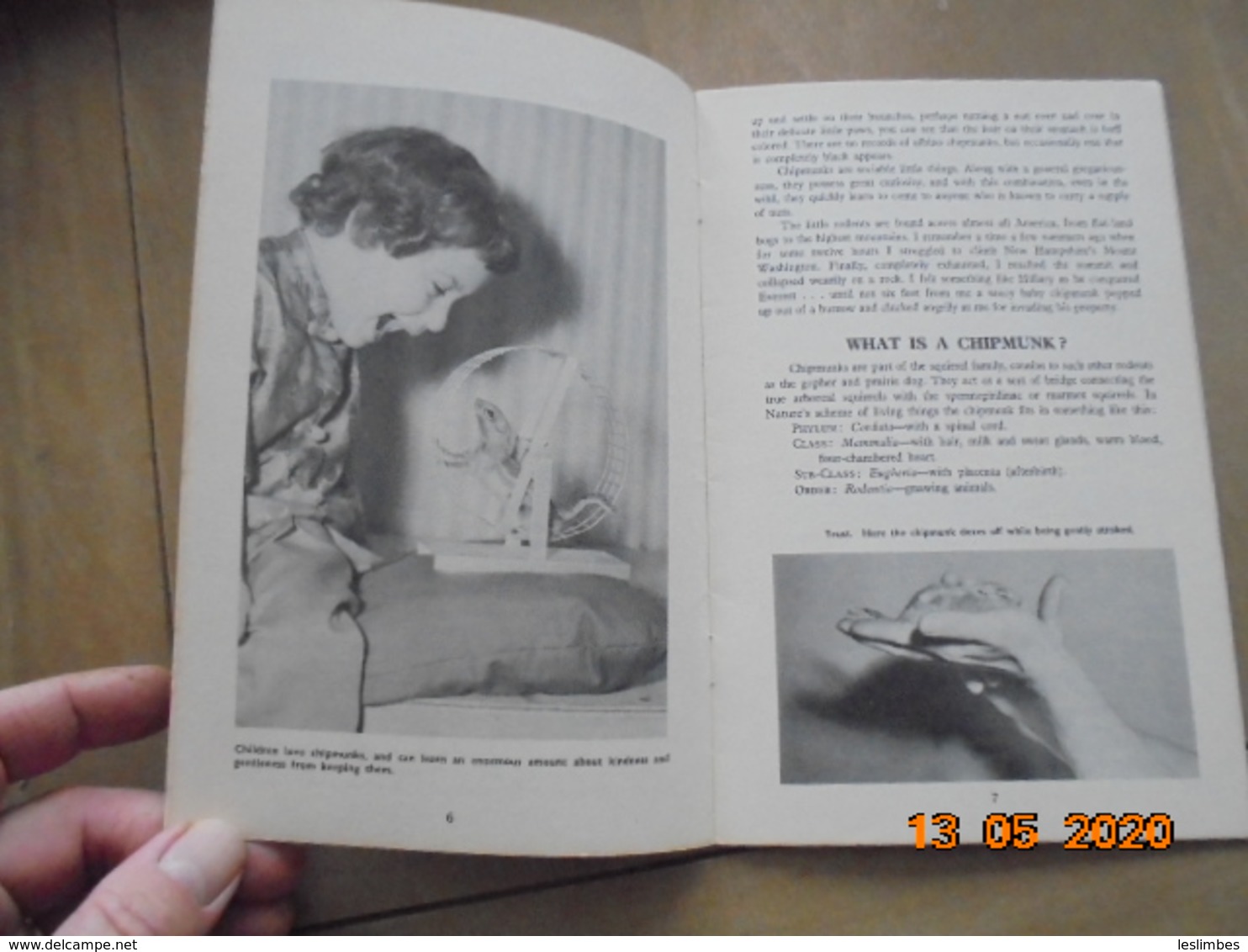 Chipmunks As Pets By Robert Gannon. T.F.H. Publications 1959. - Animales