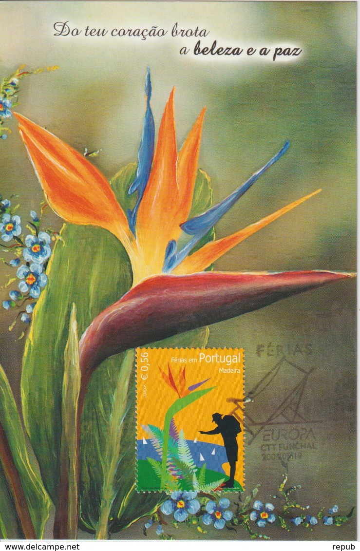 Madère Carte Maximum 2004 Fleurs Europa 230 - Madeira