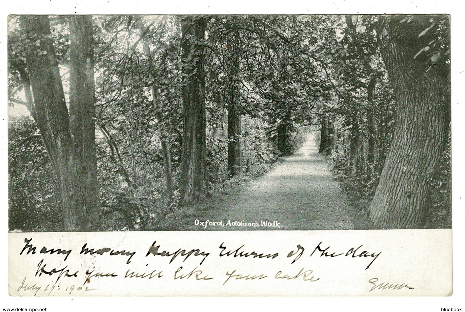 Ref 1359 - 1902 Frith Undivided Back Postcard - Addison's Walk Oxford To Spurgeon Croydon - Oxford