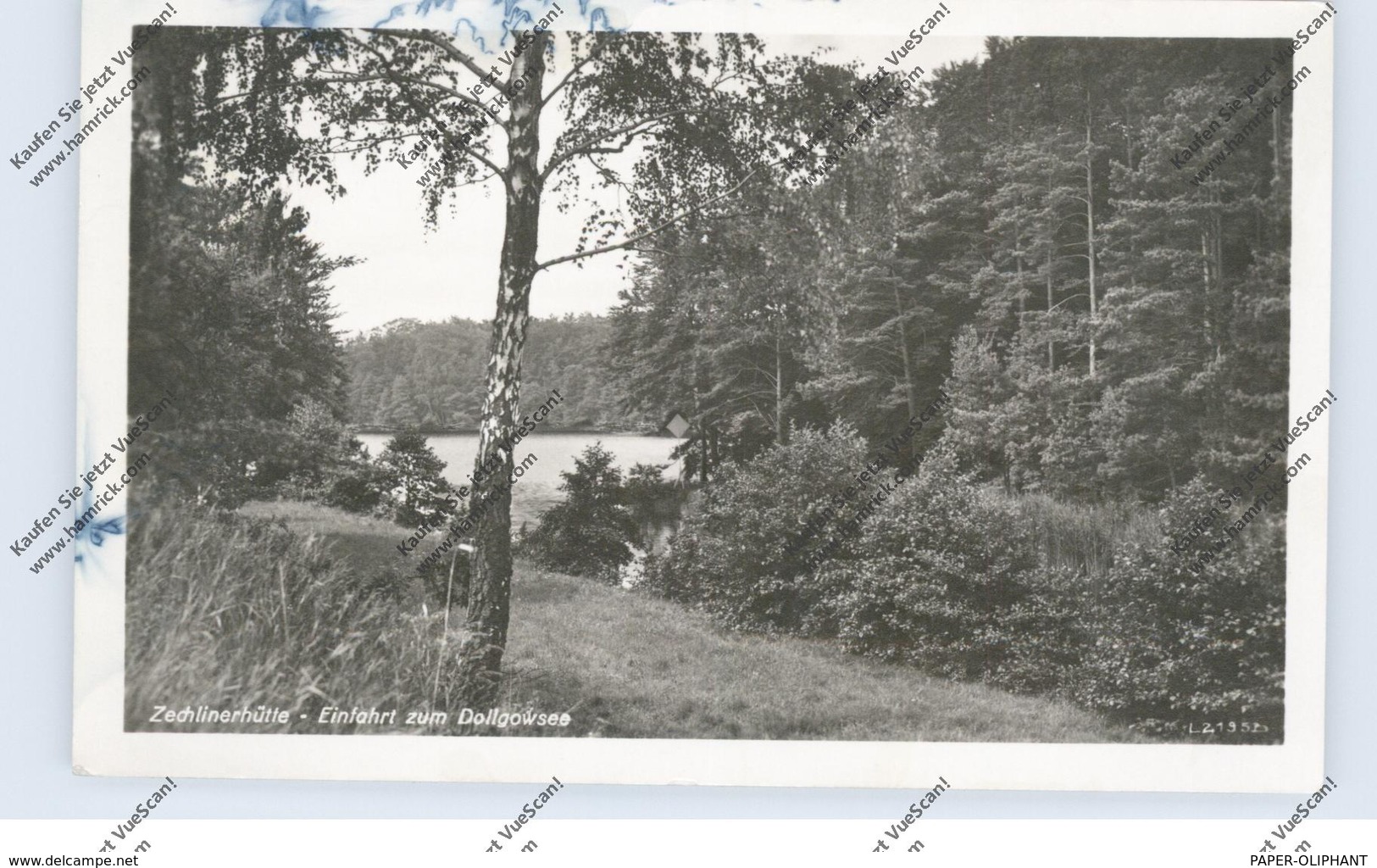 0-1951 ZECHLINERHÜTTE, Dallgowsee, 1954 - Zechlinerhütte