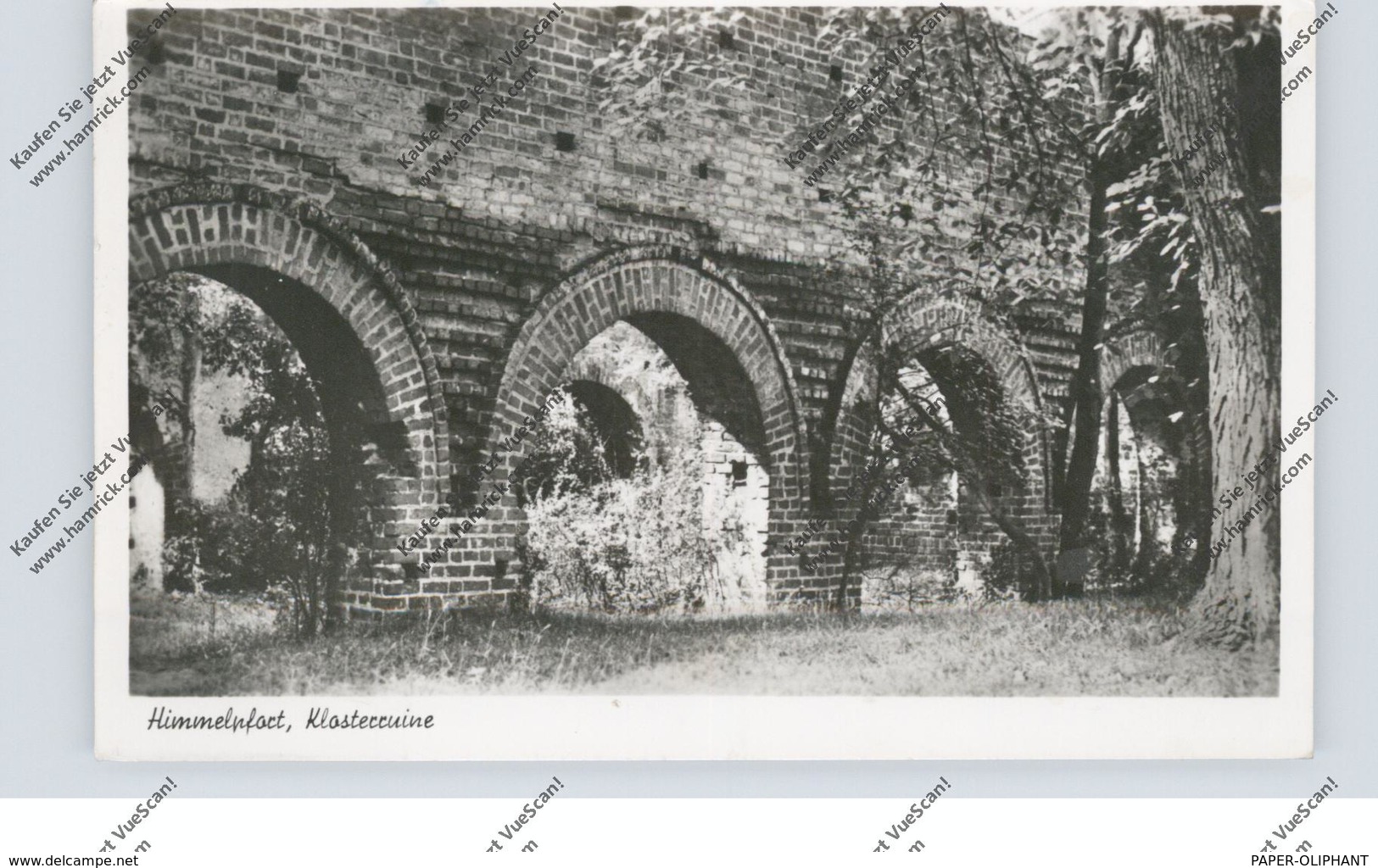 0-1432 FÜRSTENBERG - HIMMELPFORT, Klosterruine, 1955 - Fuerstenberg