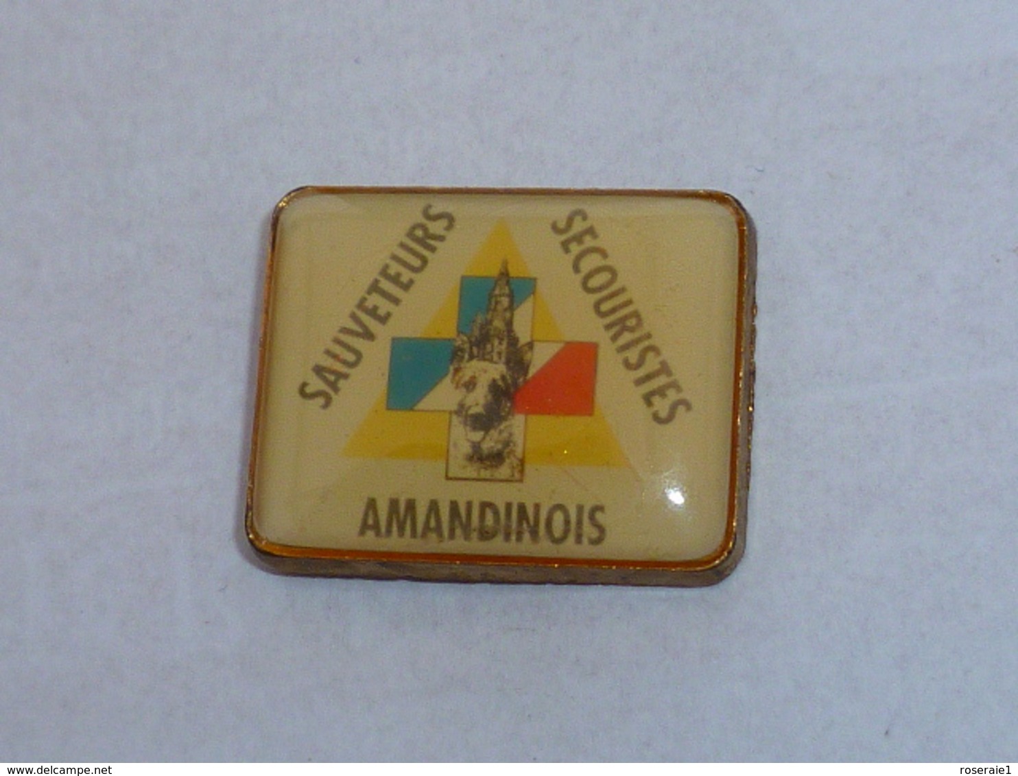 Pin's SAUVETEURS SECOURISTES AMANDINOIS - Bomberos