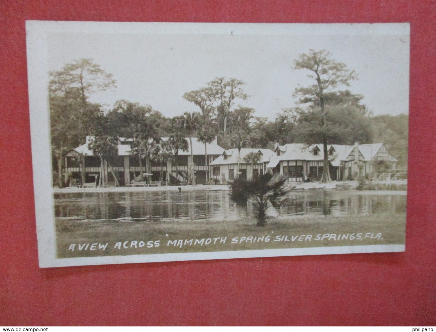 RPPC  Mammoth Spring Silver Springs  Florida    Ref 4081 - Silver Springs