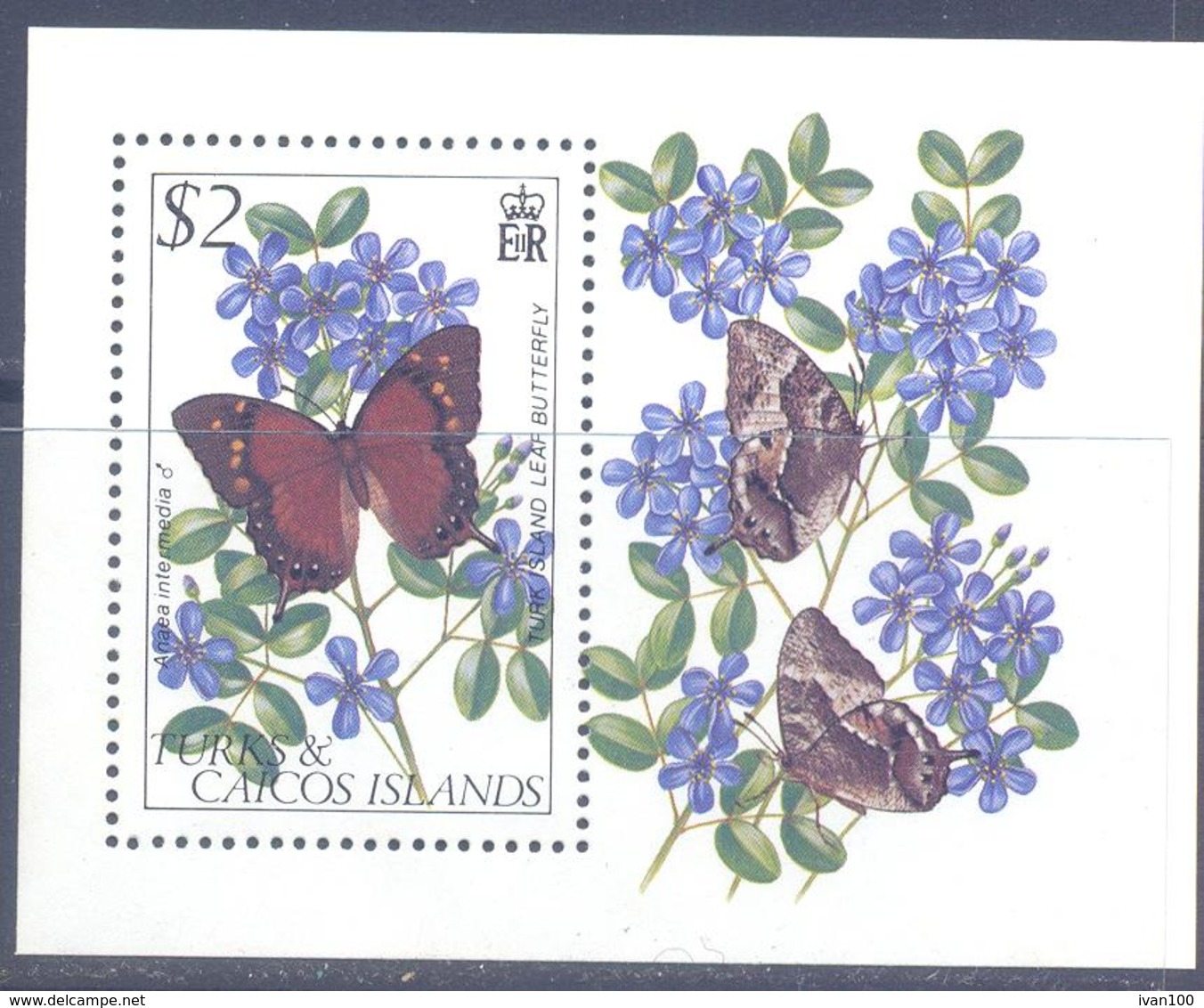 1982. Turks And Caicos, Butterflies, S/s, Mint/** - Turks & Caicos (I. Turques Et Caïques)