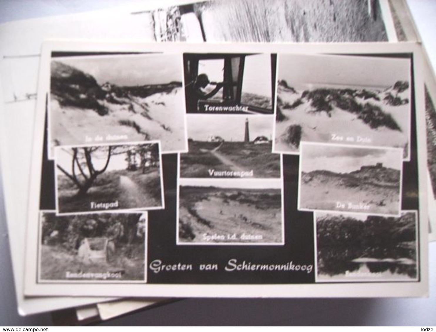 Nederland Holland Pays Bas Schiermonnikoog Met Torenwachter In Natuur - Schiermonnikoog