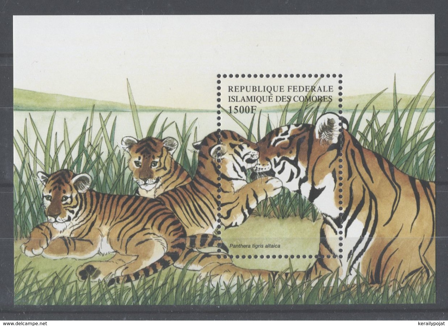 Comoros - 1999 Rare Animals Block (2) MNH__(TH-10744) - Komoren (1975-...)