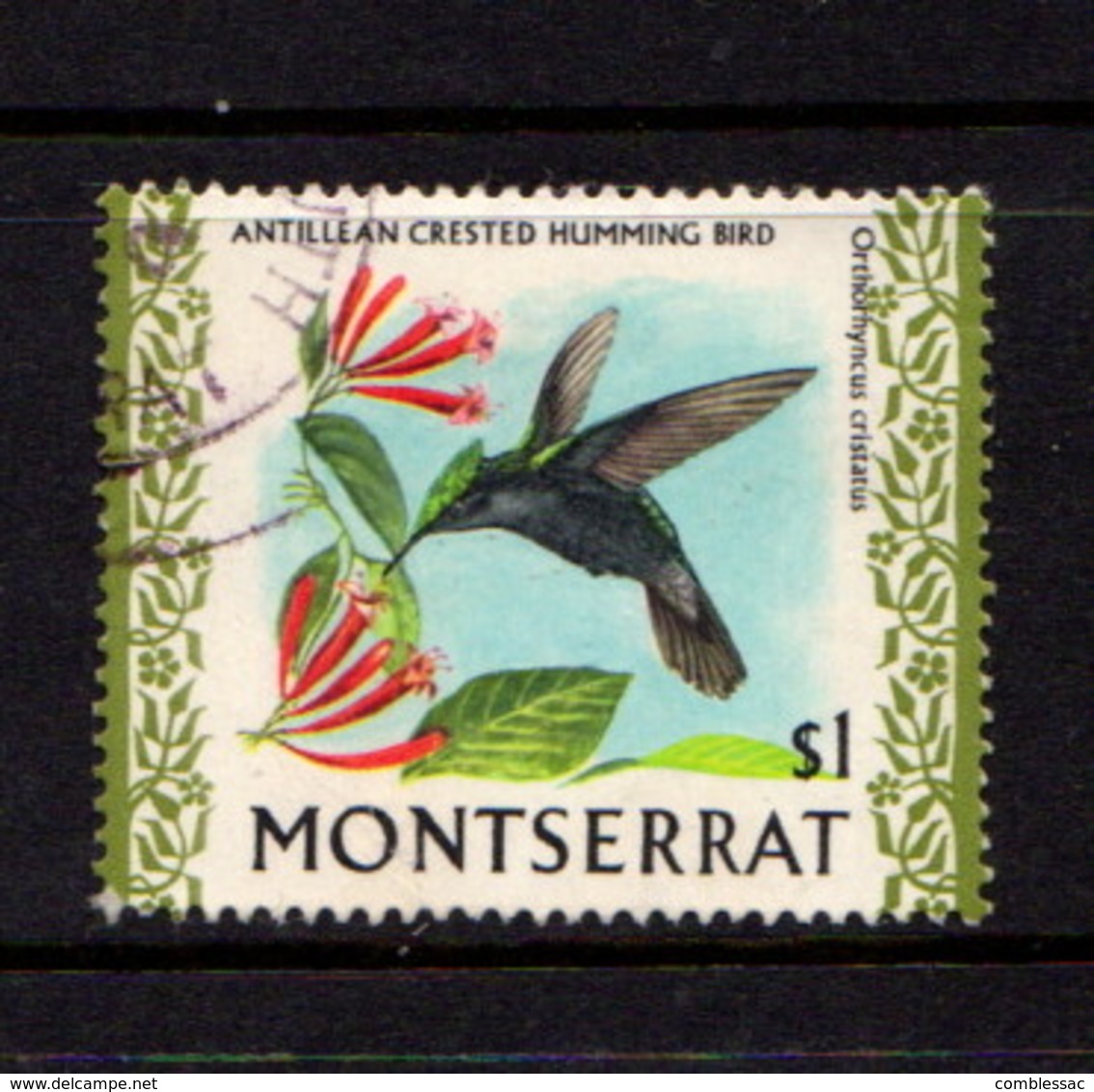 MONTSERRAT    1970    Birds    $1  Crested  Hummingbird    USED - Montserrat