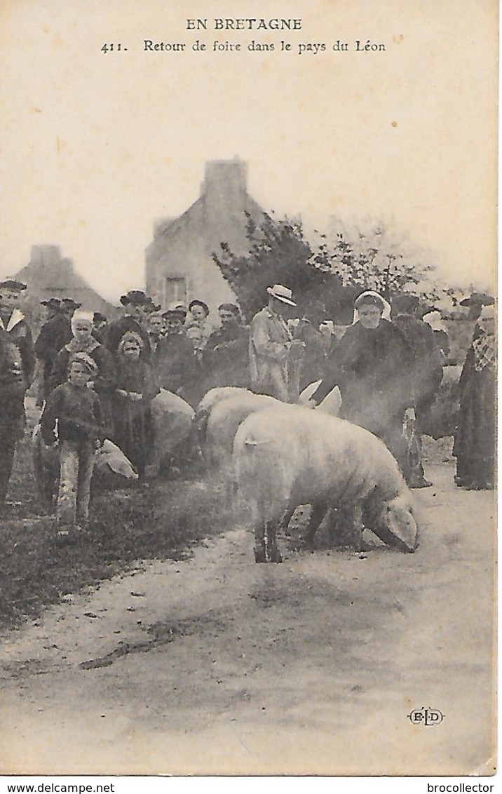 ( 29 ) - Retour De Foire Dans Le Pays Du Léon - Ferias