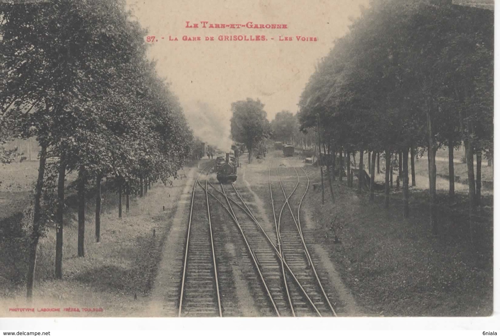 465 82  LA GARE DE GRISOLLES LES VOIES   ( Train, Locomotive, Wagons )   82  Tarn Et Garonne - Grisolles