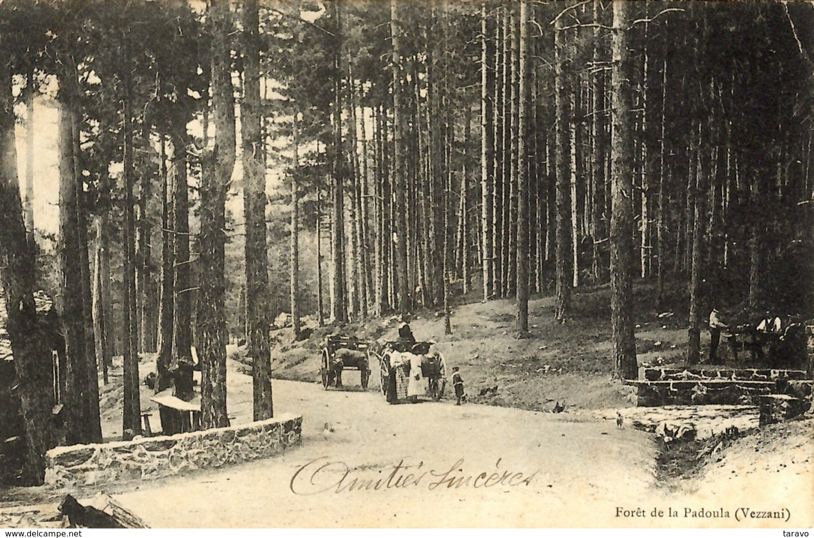 CORSE - Sur La Route De VEZZANI, Halte à La Fontaine De La Forêt De Padula (NOCETA) - 1906 - Andere & Zonder Classificatie