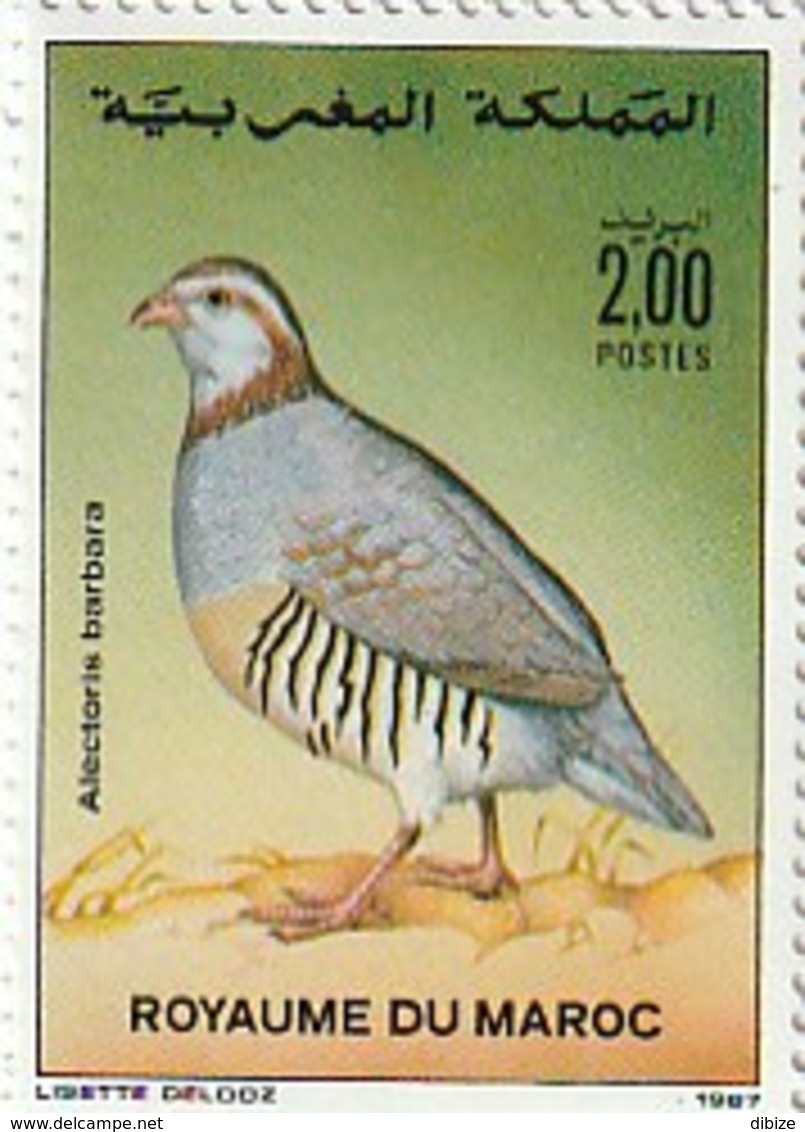 Maroc. Timbre 1987 Yvert Et Tellier N° 1044. Faune. Oiseaux. Alectoris Barbara. Perdrix Gambra. - Grey Partridge