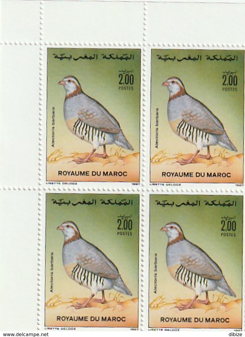 Maroc. Coin De 4 Timbres 1987 Yvert Et Tellier N° 1044. Faune. Oiseaux. Alectoris Barbara. Perdrix Gambra. - Perdrix, Cailles