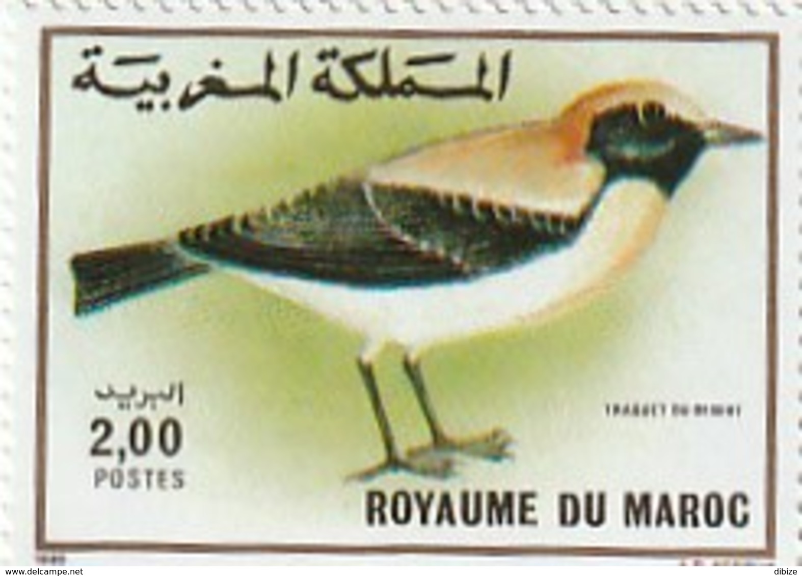 Maroc. Timbre 1989 Yvert Et Tellier N° 1073. Faune. Oiseaux. Traquet Du Désert. - Pernice, Quaglie