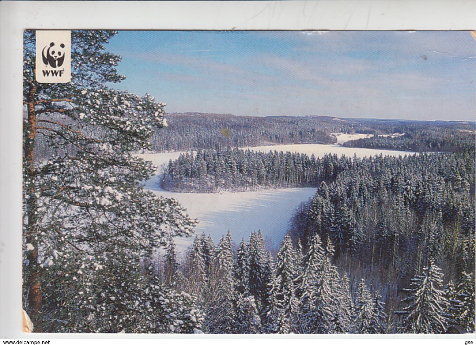 FINLANDIA  2001 -  Cartolina PANDA - Covers & Documents