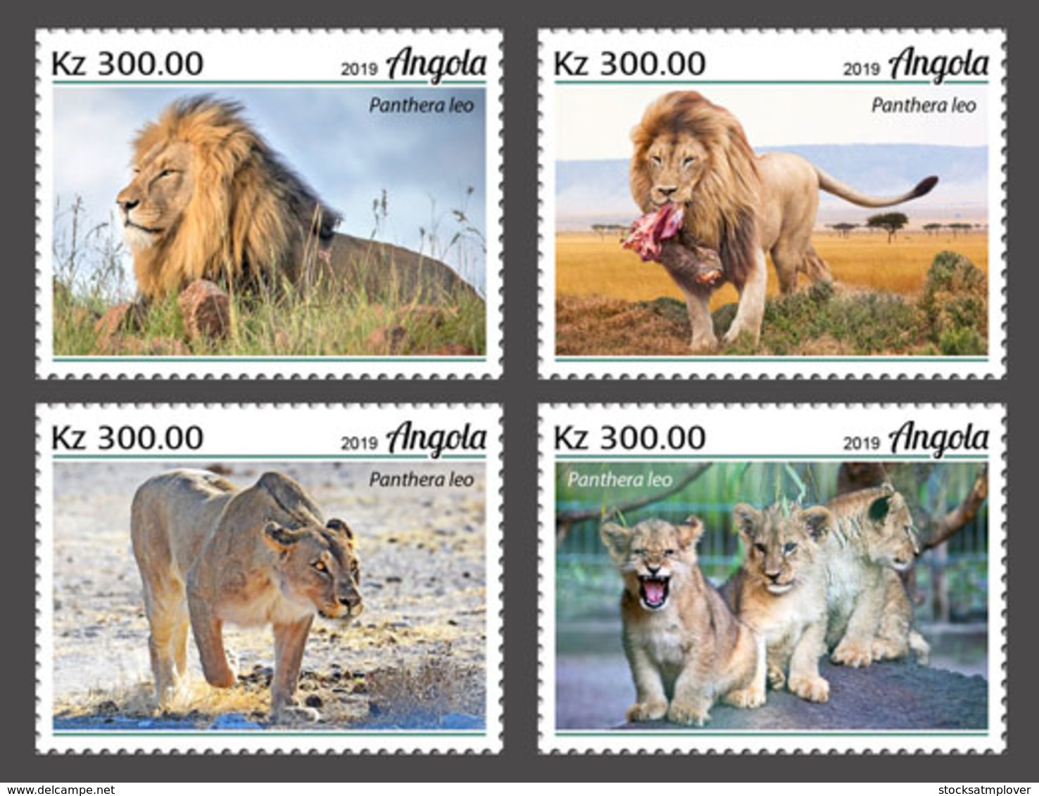 Angola 2019  Fauna Lions   S202002 - Angola