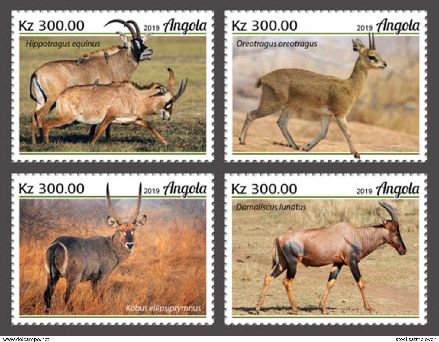 Angola 2019  Fauna   Antelopes S202002 - Angola