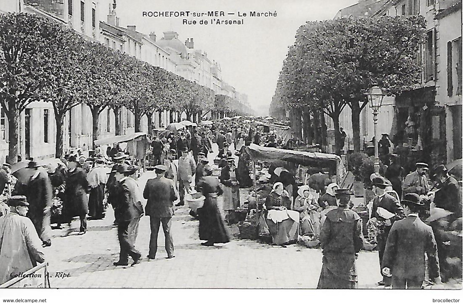 ROCHEFORT ( 17 ) - Le Marché , Rue De L'Arsenal - Mercati
