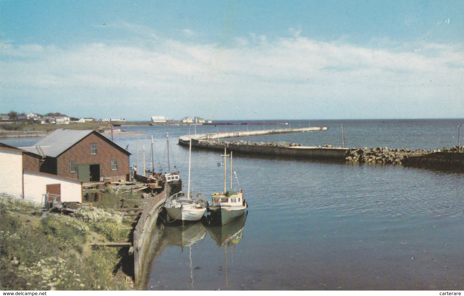 AMERIQUE,CANADA,QUEBEC,PORT DE PECHE,RARE - Levis