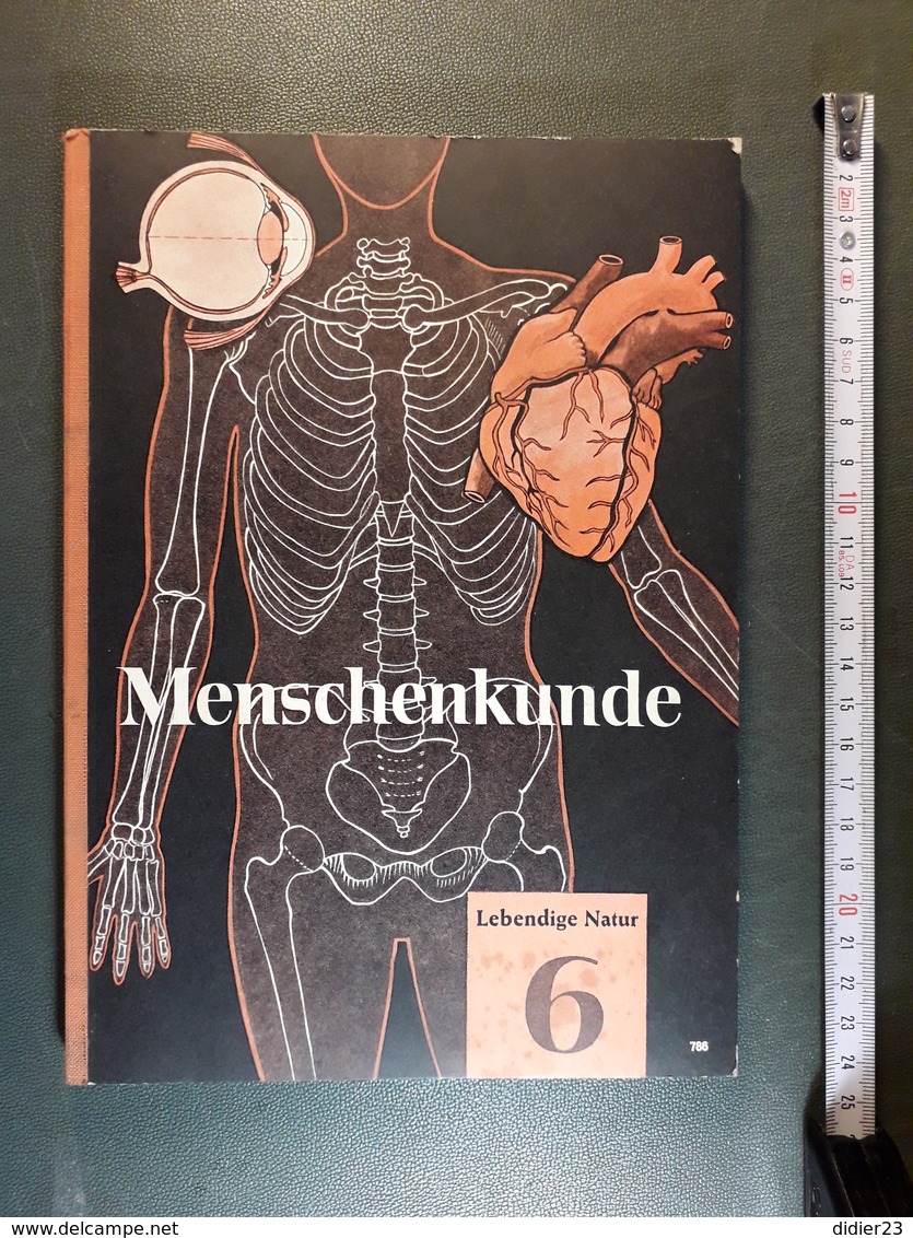 LIVRE ALLEMAND D'ANATOMIE  PHOTO DE TENNIS JAVELOT ANNEAU Athlétisme  ENFANT AVEC JOUET EN BOIS MENCHENKUNDE - Medicine & Health