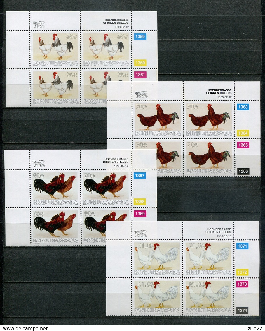 Bophuthatswana Mi# 290-3 Zylinderblocks Postfrisch/MNH Controls - Fauna Birds - Bofutatsuana