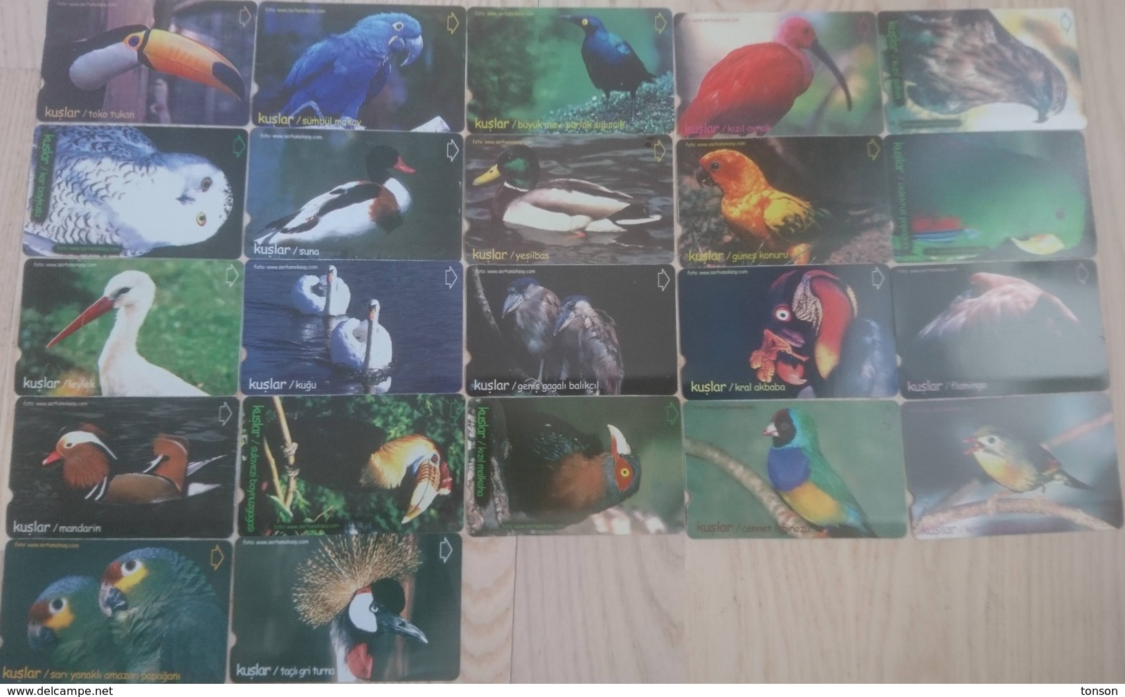 Turkey, TR-TT-N-294 - 315, Set Of 22 Cards, Birds, 2 Scans. - Turquia