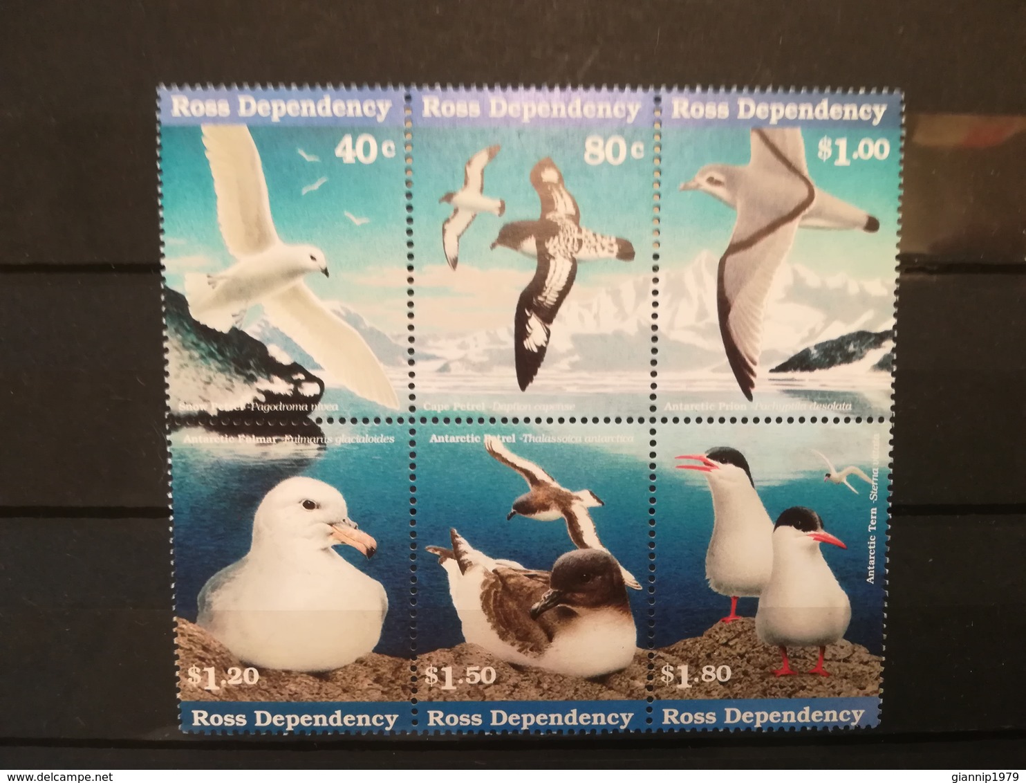 FRANCOBOLLI STAMPS ANTARTIDE DIPENDENZA ROSS DEPENDENCY 1998 MNH** NUOVI SERIE COMPLETA COMPLETE UCCELLI BIRDS SEA - Unused Stamps