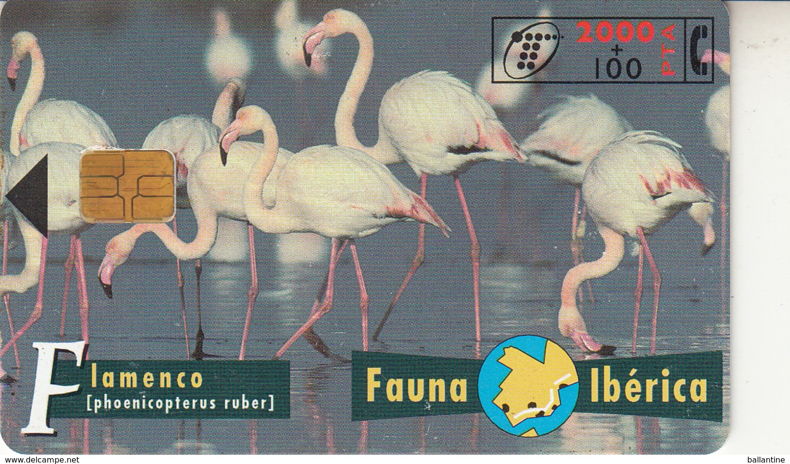 Fauna Ibérica  Flamenco - Sammlungen